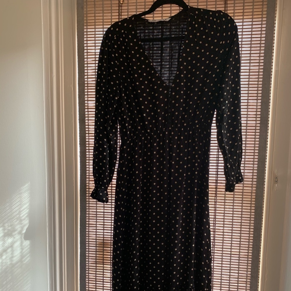Zara Midi Polka Dot Dress